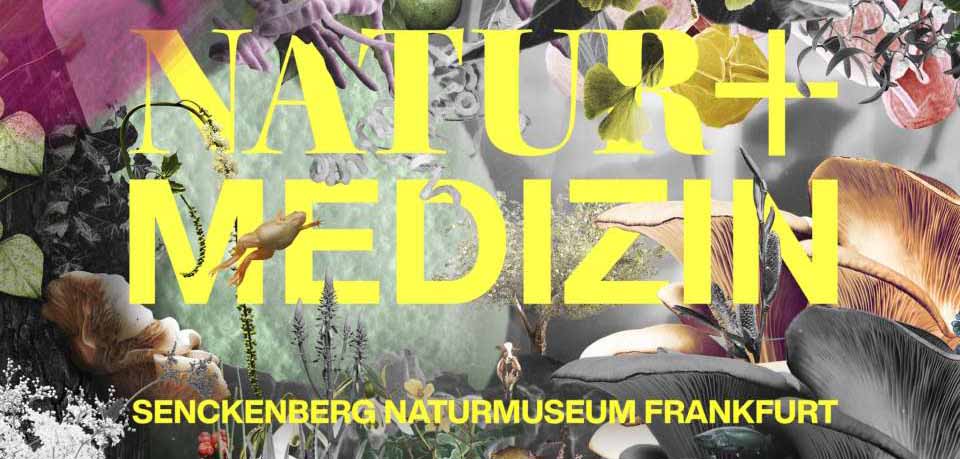 NaturMedizincSabrina-Fritz_formfellows_logo
