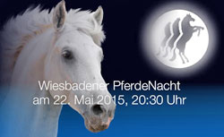 Wiesbadener Pferdenacht auf dem Wiesbadener Pfingstturnier 2015