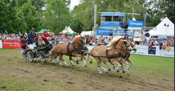 Pferdenacht beim Wiesbadener Pfingstturnier 2015 im Biebricher Schlosspark