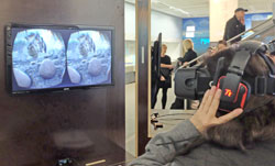 Einen Vorgeschmack auf die dauerhafte virtuelle Anwendung präsentiert der namhafte Spielehersteller Crytek das Virtual-Reality-Spiel „Back to Dinosaur Island“ .Foto: Diether v Goddenthow © atelier-goddenthow