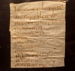 Die Inventarauthentik, auf der bestimmte Reliquien aufgelistet waren, ist das älteste erhaltene Mainzer Schriftdokument. Foto: Diether v. Goddenthow
