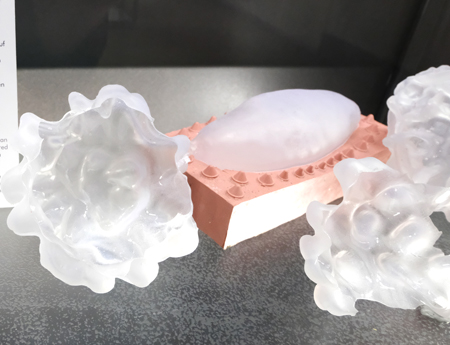 3D-Rekonstruktionen von Pilzsporen entstanden mit Hilfe eines Rasterelektronenmikroskops (REM) und eines 3D-Druckers. Foto: Diether v. Goddenthow © atelier-goddenthow