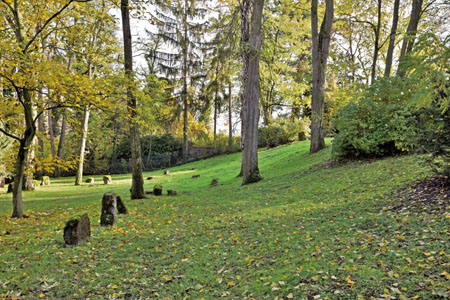 Alter Jüdischer Friedhof Mainz © GDKE Rheinland-Pfalz (Foto: Jürgen Ernst)Generaldirektion Kulturelles Erbe Rheinland-Pfalz – Wir machen Geschichte lebendig