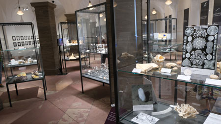 Impression der  Sonderausstellung "Kristalle - Vom Diamant bis zum Gips" im Museum,  Saal der Mineraliensammlungen. © Foto Diether v. Goddenthow