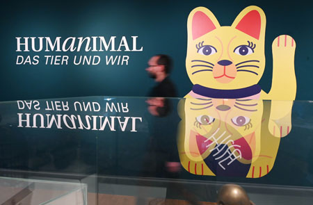 Ausstellungsansicht „Humanimal. Das Tier und Wir“ © Badisches Landesmuseum Karlsruhe, Foto: ARTIS – Uli Deck