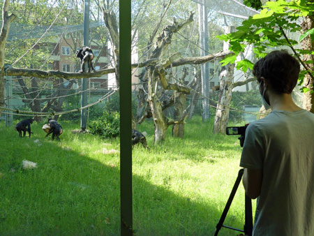 Verhaltensforschung bei den Bonobos im Zoo Frankfurt © Zoo Frankfurt