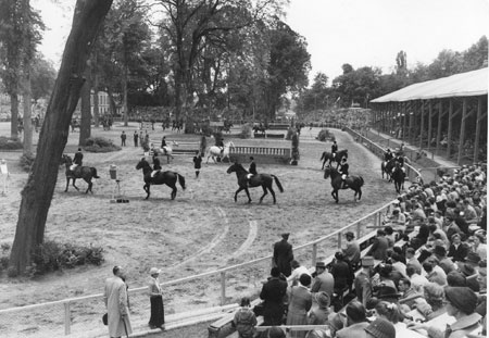 Ein Blick in 1952 – das erste Turnier auf dem neuen großen Platz, der heute noch alljährlich internationale Top-Reiter empfängt. Foto: Veranstalter