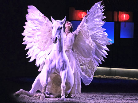 Freiheitsdressur-Star Sylvie Willms als ein faszinierender weißer Vogel an Pegasus erinnernd. © Foto: Diether von Goddenthow
