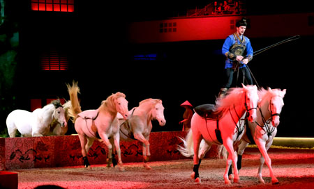 Freie ungarische Post von Diego Giona mit sechs Pferden. © Foto: Diether von Goddenthow